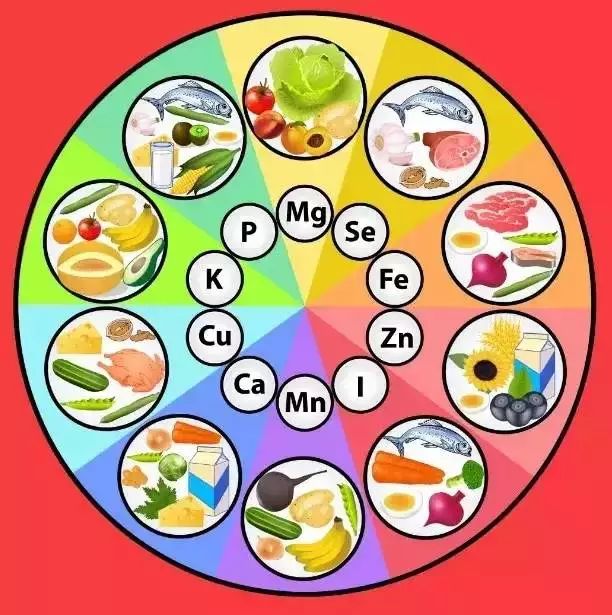 微量元素分析仪之定期检查微量元素的必要性